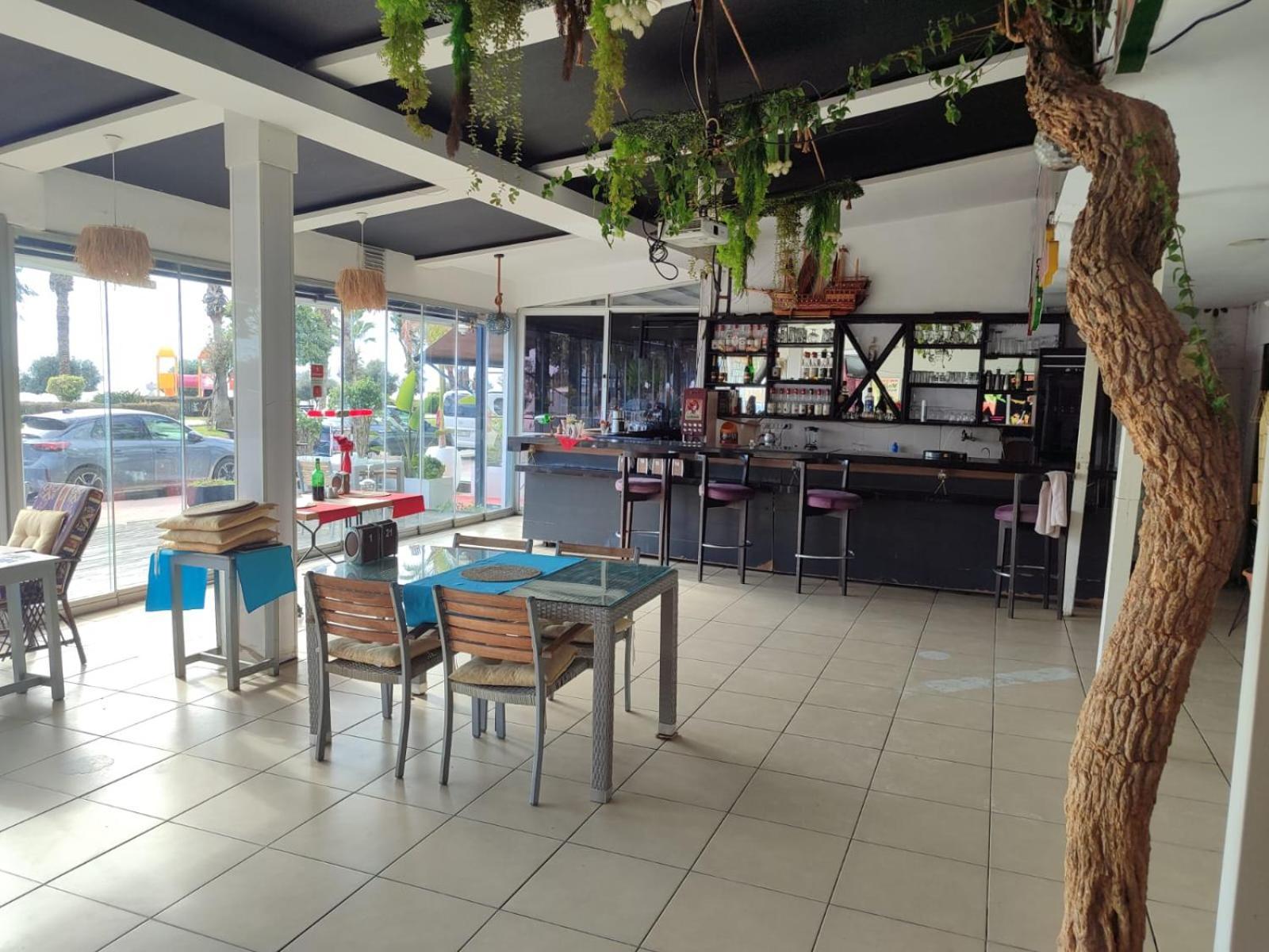 אלאניה Kleopatra Beach Yildiz Hotel מראה חיצוני תמונה
